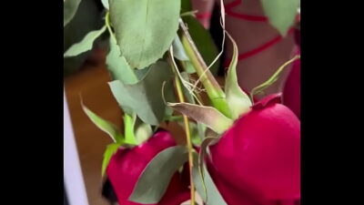 Morena Gostosa 400x225 adult video thumbnail